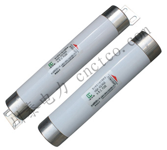 XRNM电动机保护用高压限流熔断器（插入式/母线式 ）